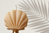 Organic Beeswax White Shell Ritual Candles