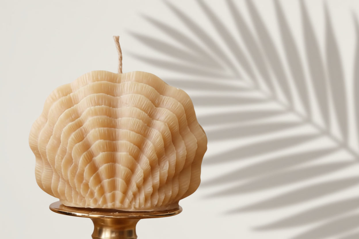 Organic Beeswax White Shell Ritual Candles